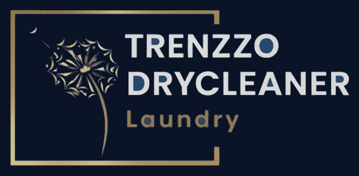 Trenzzo Drycleaners logo